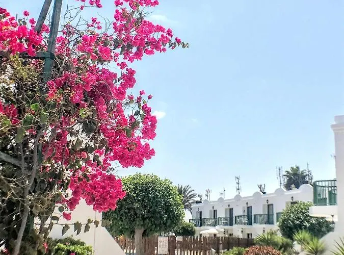 Armonia Pool View & Wi-fi By Irent Fuerteventura Διαμέρισμα Κοραλέχο